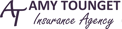 Amy Tounget Insurance Agency, LLC